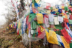 Colourful prayer flags at Pelela Pass, Bhutan