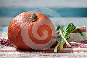 Colourful pumpkin and green onion on indian rug