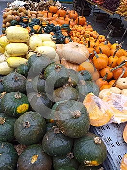 Colourful pumpkins, marrows and cucumbers in the world-famous Union Square Greenmarket in New York.