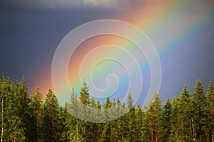 Colourful rainbow over forest with heavy clouds