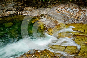The Colourful River Bank