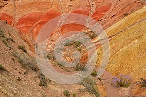 Colourful rocks of Skazka Fairy tale rainbow canyon,Kyrgyzstan