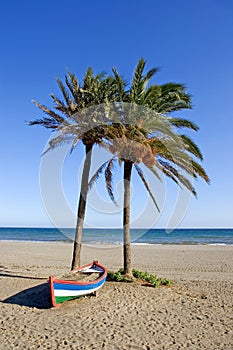 Colourful rowing boat and palm trees on beach