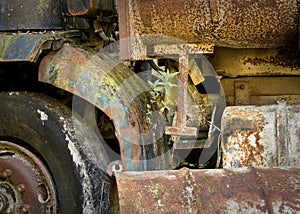 Colourful, rusty, abandoned lorry