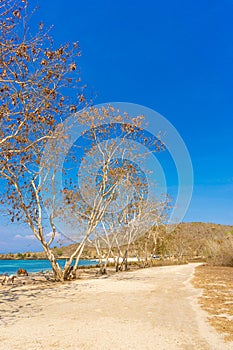 Colourful scenery during sunset at Semporna Beach Lombok Island indonesia.