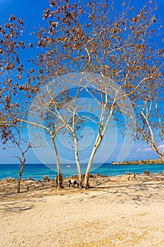 Colourful scenery during sunset at Semporna Beach Lombok Island indonesia.