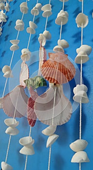 Colourful seashell mobile