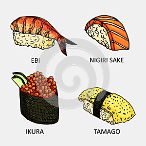 Colourful sketch of different sushi. Vector temaki, philadelfia, california, futomaki and sashimi icon.