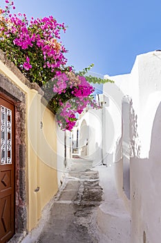 The colourful small streets of Emporio, Santorini, Greece are even more beautiful with the flowers of the bougainvillea that hang