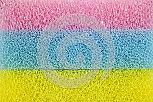 Colourful sponges texture