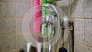 Colourful sponges and washcloths hang on wall behind shower