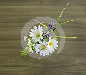 Colourful Still Life Flowers in a Vase