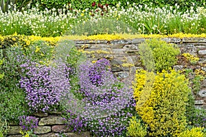 Colourful Stone Wall Flower Garden