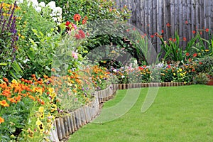 Colourful Summer Bedding Flowers And Shrubs