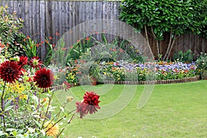 Colourful Summer Bedding Flowers And Shrubs