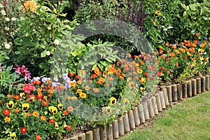 Colourful Summer Bedding Flowers And Shrubs