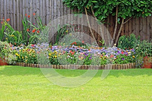 Colourful Summer Bedding Flowers And Shrubs