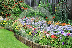 Colourful Summer Bedding Flowers And Shrubs