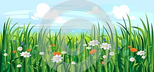 Colourful summer or spring landscape with flowers