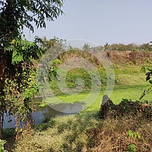 Colourful surrounding of nature at Bhandup Irritation Plant