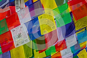 Colourful Tibetan Prayer Flags