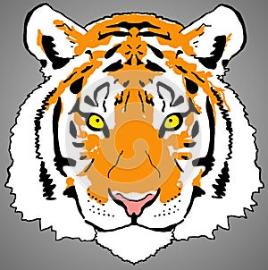 Colourful Tiger Face Digital Painting- PNG Raster Design