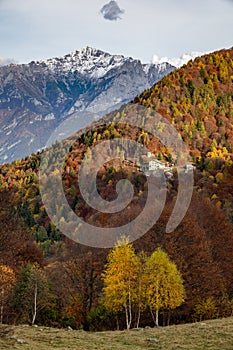 Colourful trees at autumn in Italy, Europe