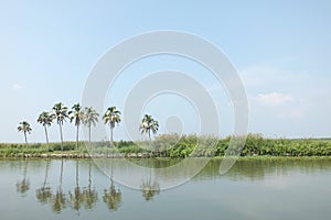 Colourful Vembanad Lake Scenery with reflections