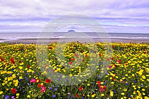 Colourful View from Coastal Town of South West Scotland