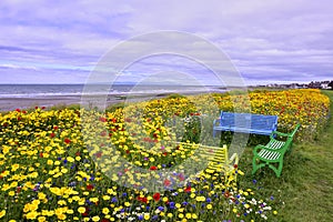 Colourful View from Coastal Town of South West Scotland