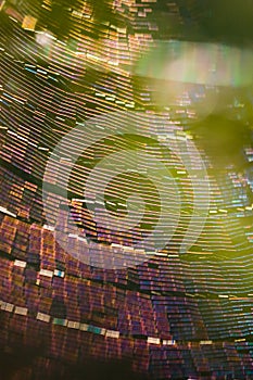 Colourful web abstract