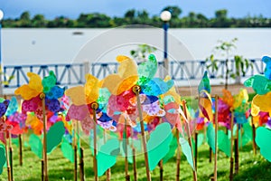 Colourful of windmill toy in the garden.Thailand.