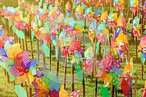 Colourful of windmill toy in the garden.Thailand.