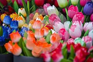 Colourful wooden tulips in amsterdam flower market