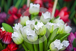 Colourful wooden tulips in amsterdam flower market