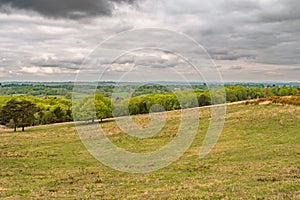 Colourful woods of Ashdown Forest on a cloudy day