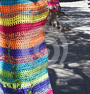 Colourful yarn bombed tree