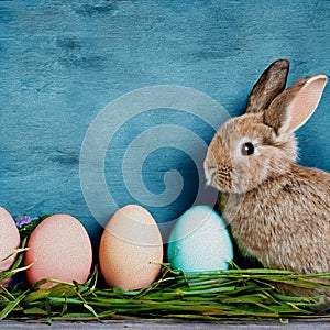 Colourfull Background with Eggs and bunnies