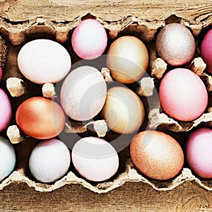 Colourfull Background with Eggs and bunnies