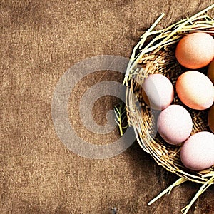 Colourfull Background with Eggs and bunnies