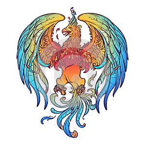 Colourfull and intricate drawing of the legendary Phoenix bird. Brightly colored linear drawing isolated on white