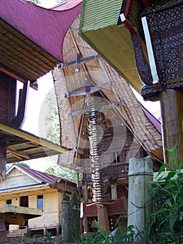 Colourfull Tongkonan in Tana Toraja