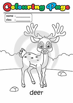 Colouring Page/ Colouring Book Deer. Grade easy suitable for kids