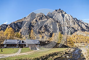 The colours of autumn at the Alpe Devero in Crampiolo, little village in the mountains