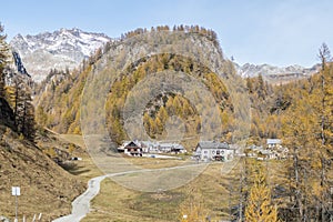 The colours of autumn at the Alpe Devero, little village in the mountains