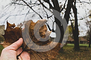 The colours of autumn.