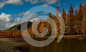 The colours of autumn are cold-water rivers of Magadan.