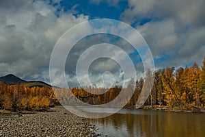 The colours of autumn are cold-water rivers of Magadan.