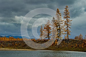 The colours of autumn are cold-water rivers of Magadan.