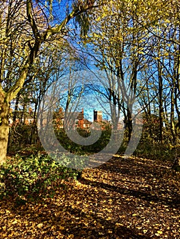 Colours of autumn and Fenton landscape